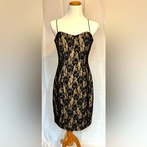 Tatyana fitted wiggle style black lace dress
